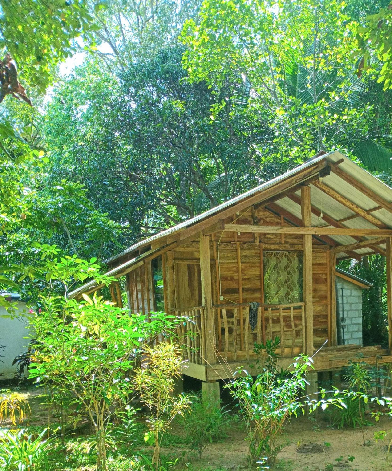 Sigiri Bliss Garden Home Stay Sigirîya Extérieur photo